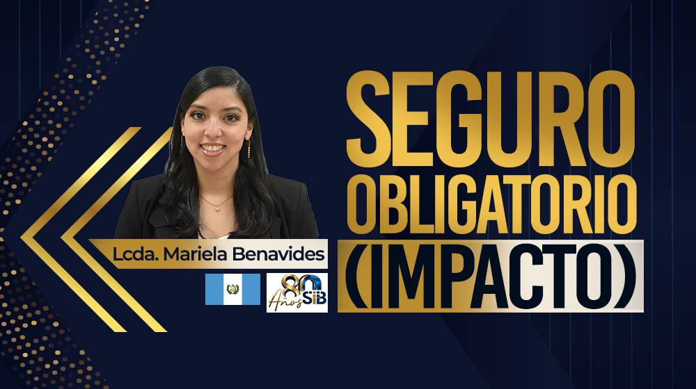 Seguro Obligatorio (impacto)